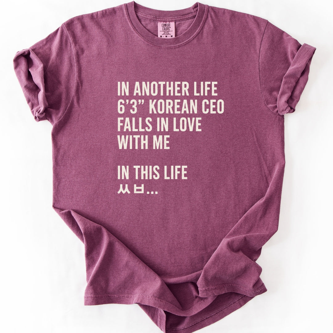 In Another Life - Funny K-Drama T-shirt