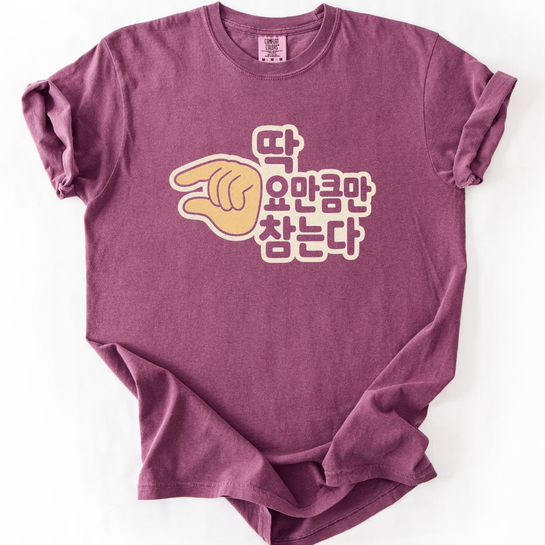 I Am This Close to Losing It | Funny Korean T-Shirt