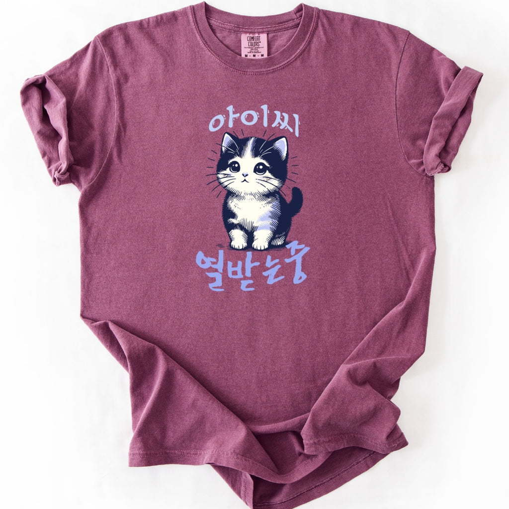 아이씨 (Aishh) Rage Consumes Me Funny Korean Cat T-Shirt