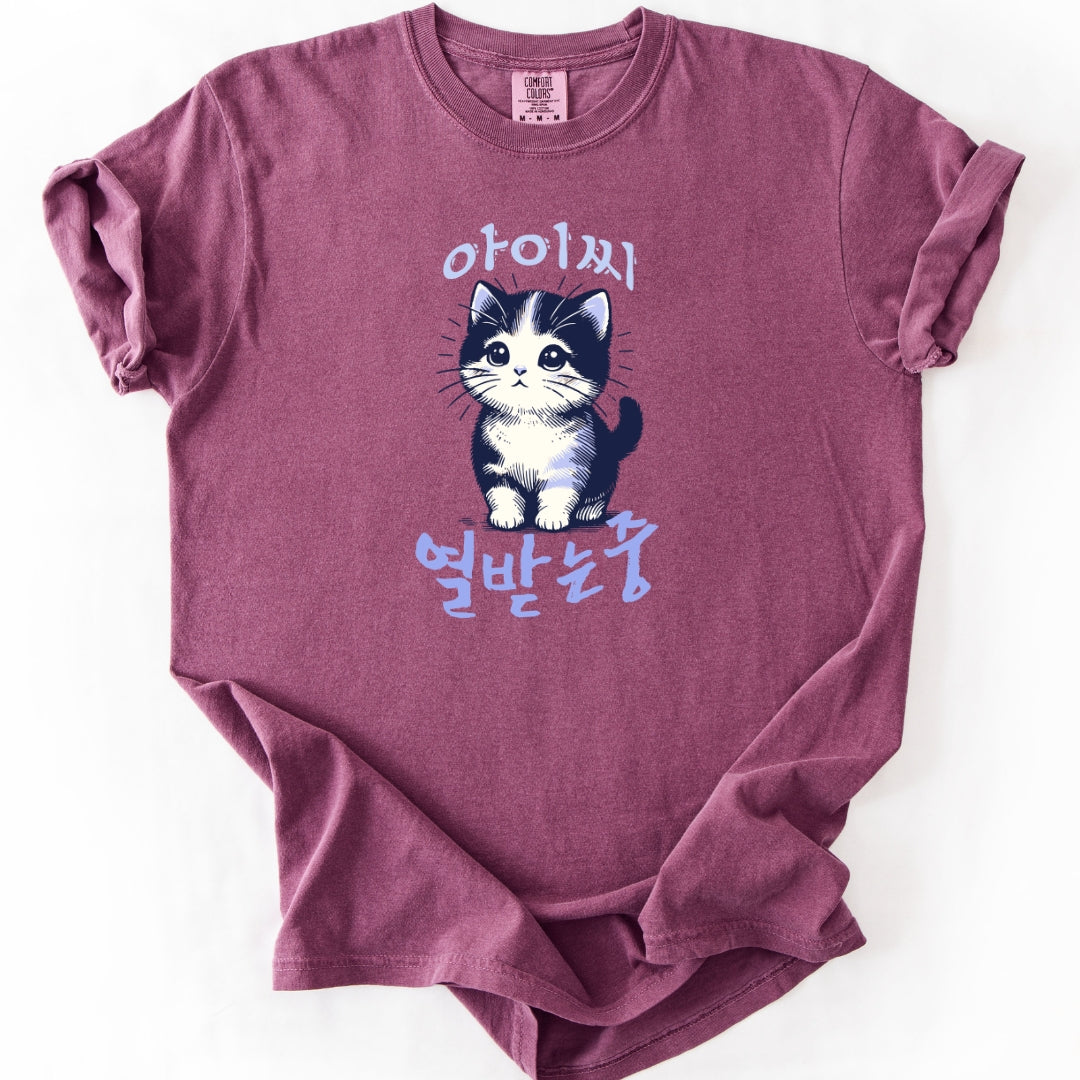 아이씨 (Aishh) Rage Consumes Me Funny Korean Cat T-Shirt