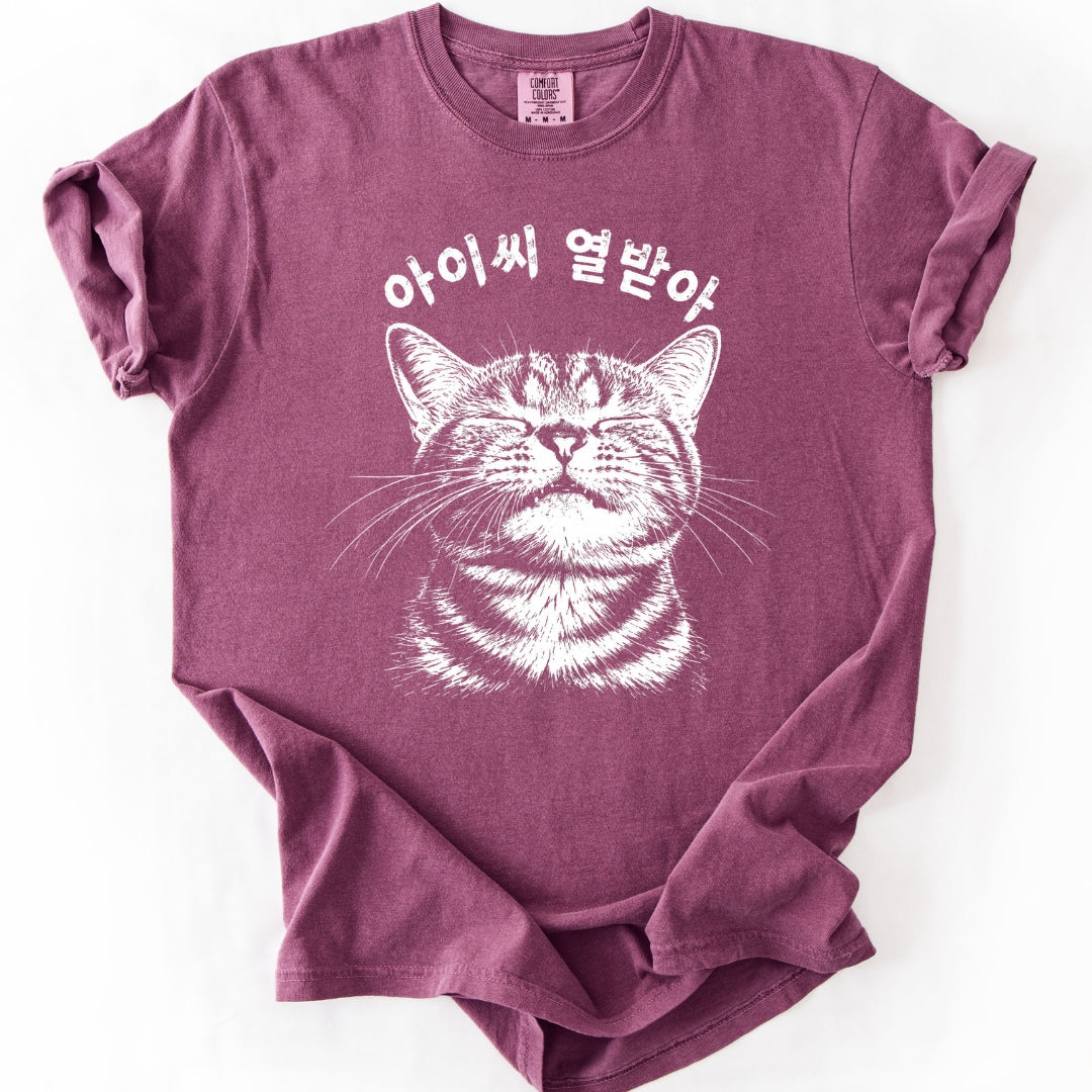 아이씨 열받아 Rage Consumes Me Korean Cat T-Shirt