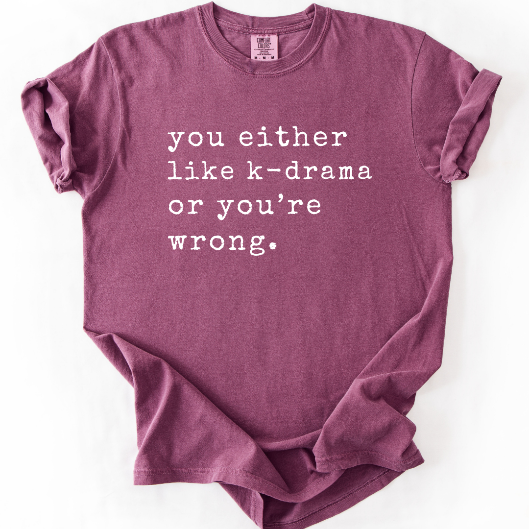 You Either Like K-Drama T-Shirt