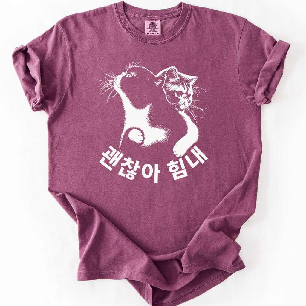 괜찮아 힘내 | Funny Korean Cat T-Shirt