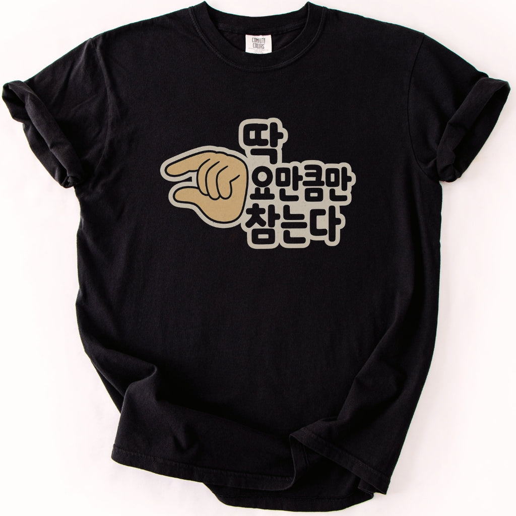 I Am This Close to Losing It | Funny Korean T-Shirt