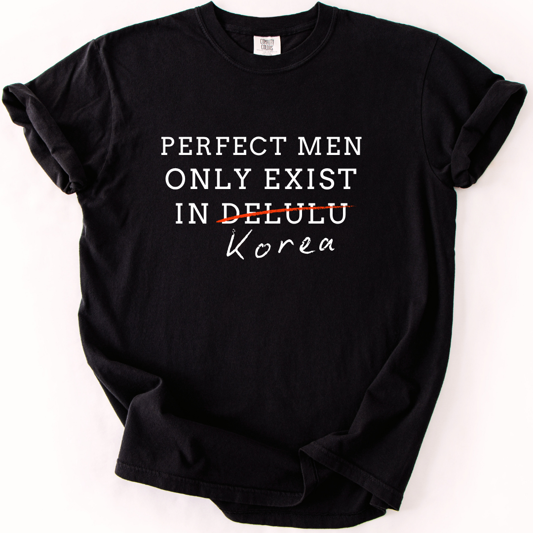 Perfect Men Only Exist in Korea - Funny K-Drama Fan T-Shirt
