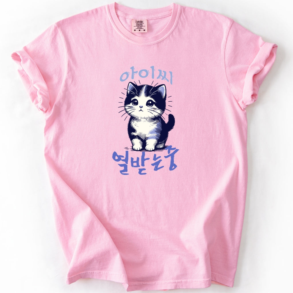 아이씨 (Aishh) Rage Consumes Me Funny Korean Cat T-Shirt