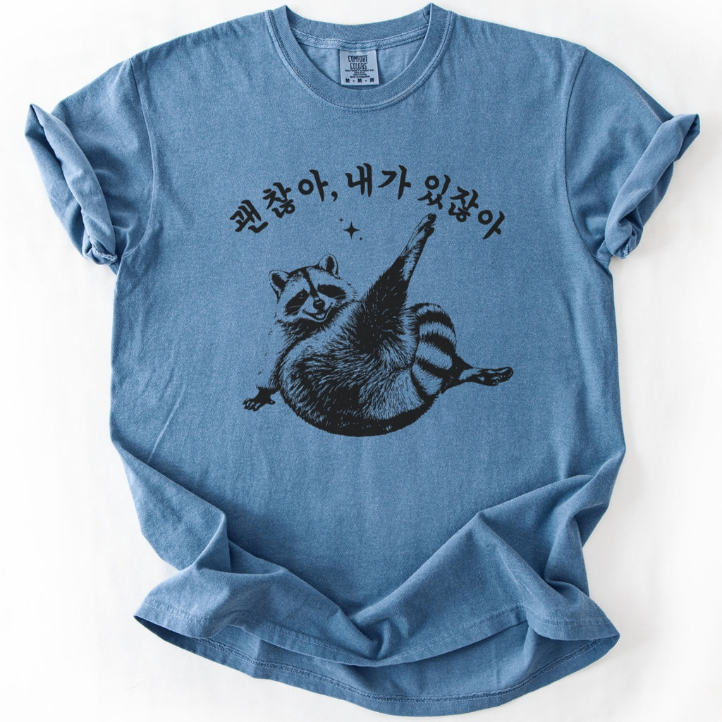 괜찮아 내가 있잖아 (Gwenchana, you have me) Funny Korean T-Shirt