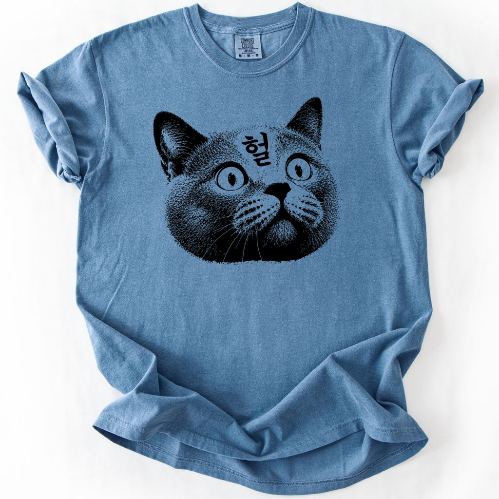 헐 (OMG) Korean Reaction Cat T-Shirt