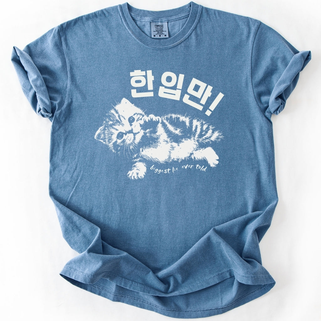 한입만 ("Just one bite") | Biggest Lie Ever Cat T-Shirt