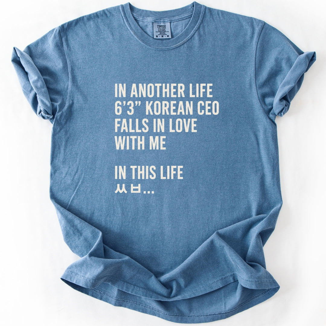 In Another Life - Funny K-Drama T-shirt