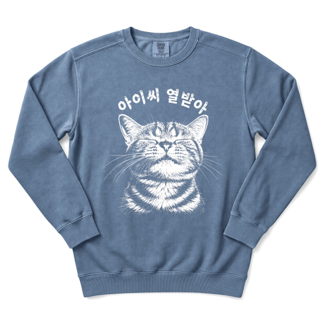 아이씨 열받아 Rage Consumes Me Korean Cat Sweatshirt