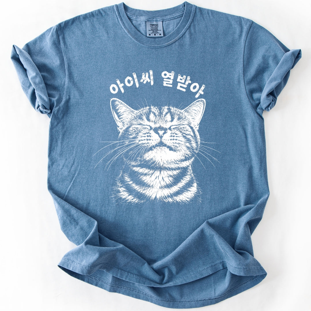 아이씨 열받아 Rage Consumes Me Korean Cat T-Shirt