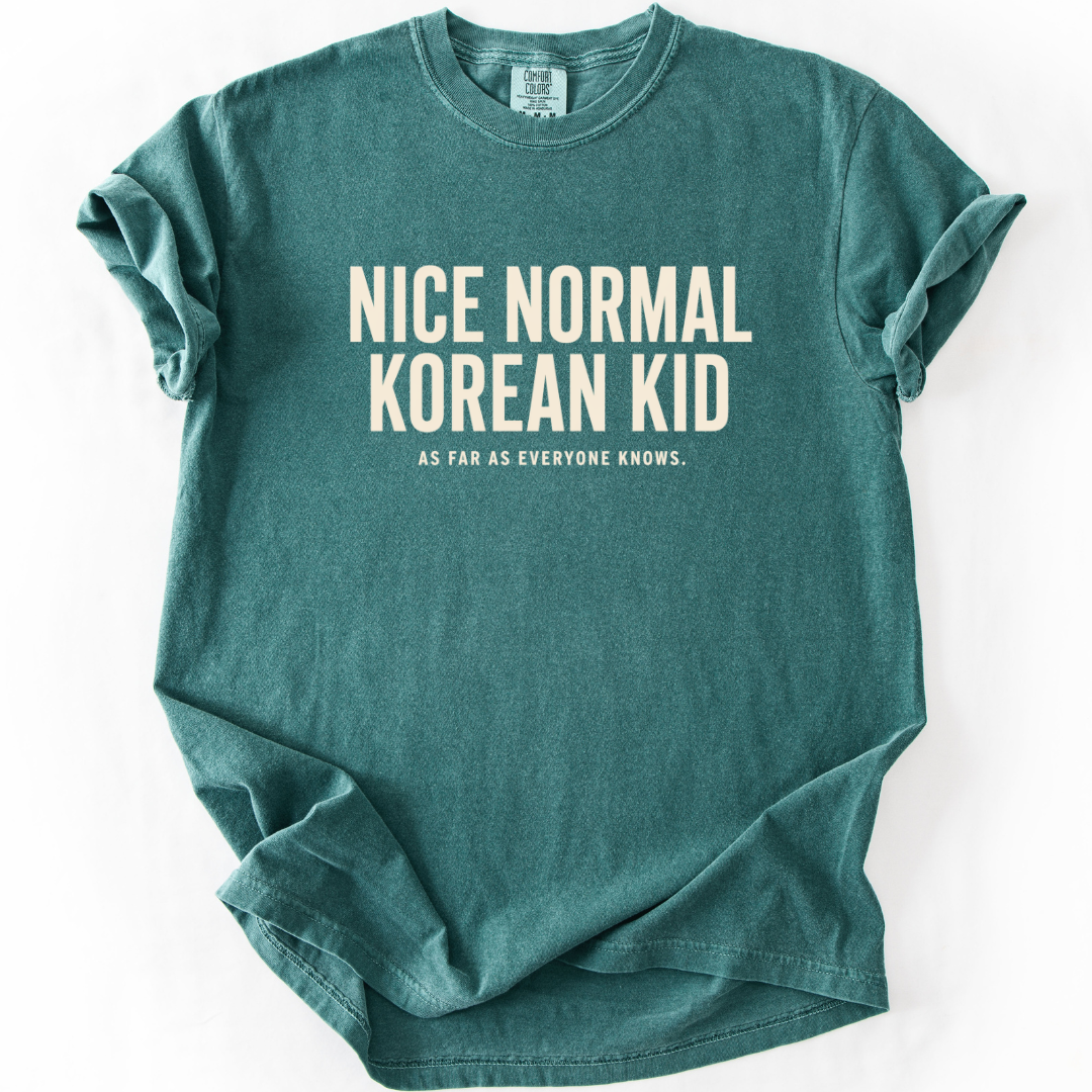 Nice Normal Korean Kid T-shirt