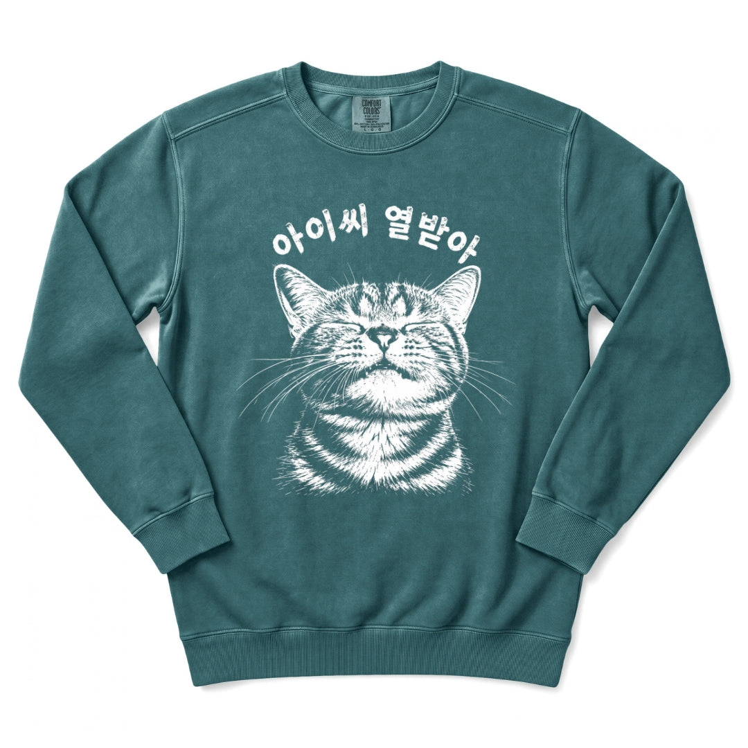 아이씨 열받아 Rage Consumes Me Korean Cat Sweatshirt