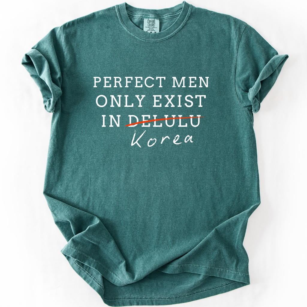 Perfect Men Only Exist in Korea - Funny K-Drama Fan T-Shirt