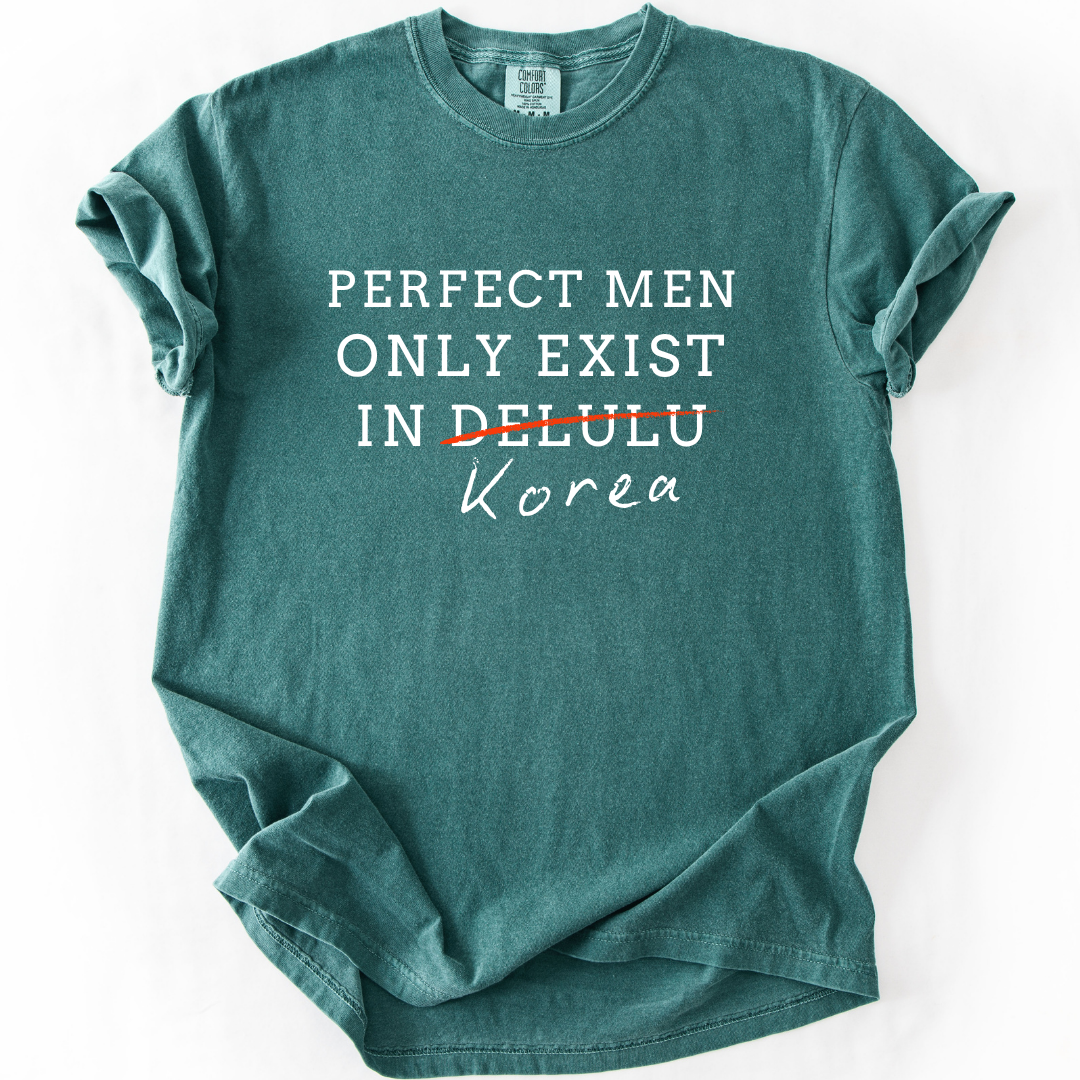 Perfect Men Only Exist in Korea - Funny K-Drama Fan T-Shirt