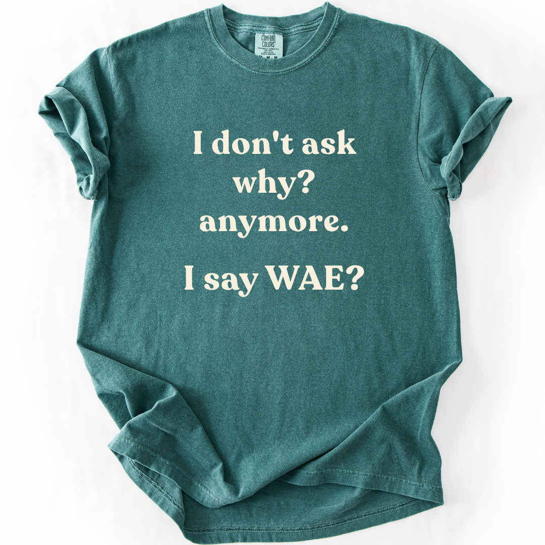 I Don’t Ask Why Anymore Funny K-Drama T-Shirt