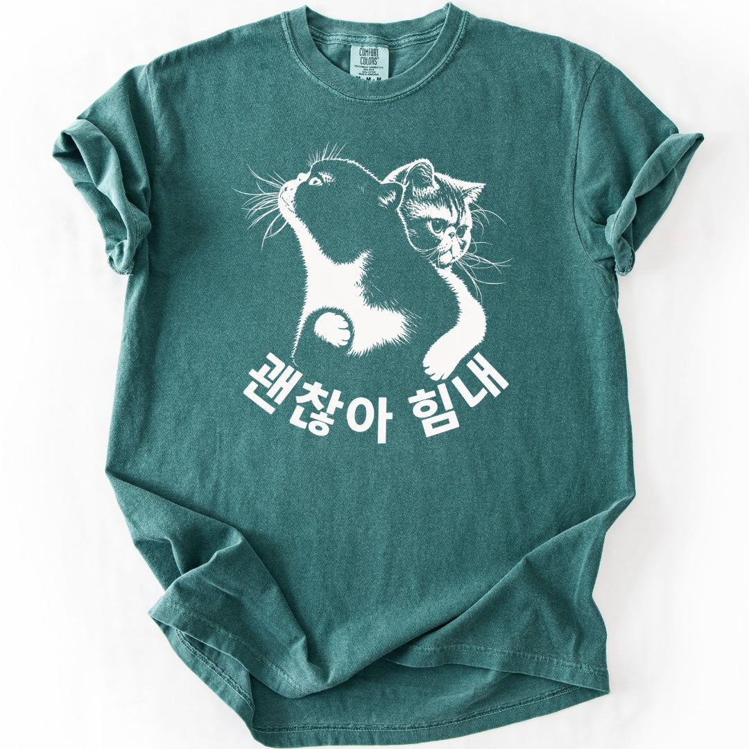 괜찮아 힘내 | Funny Korean Cat T-Shirt