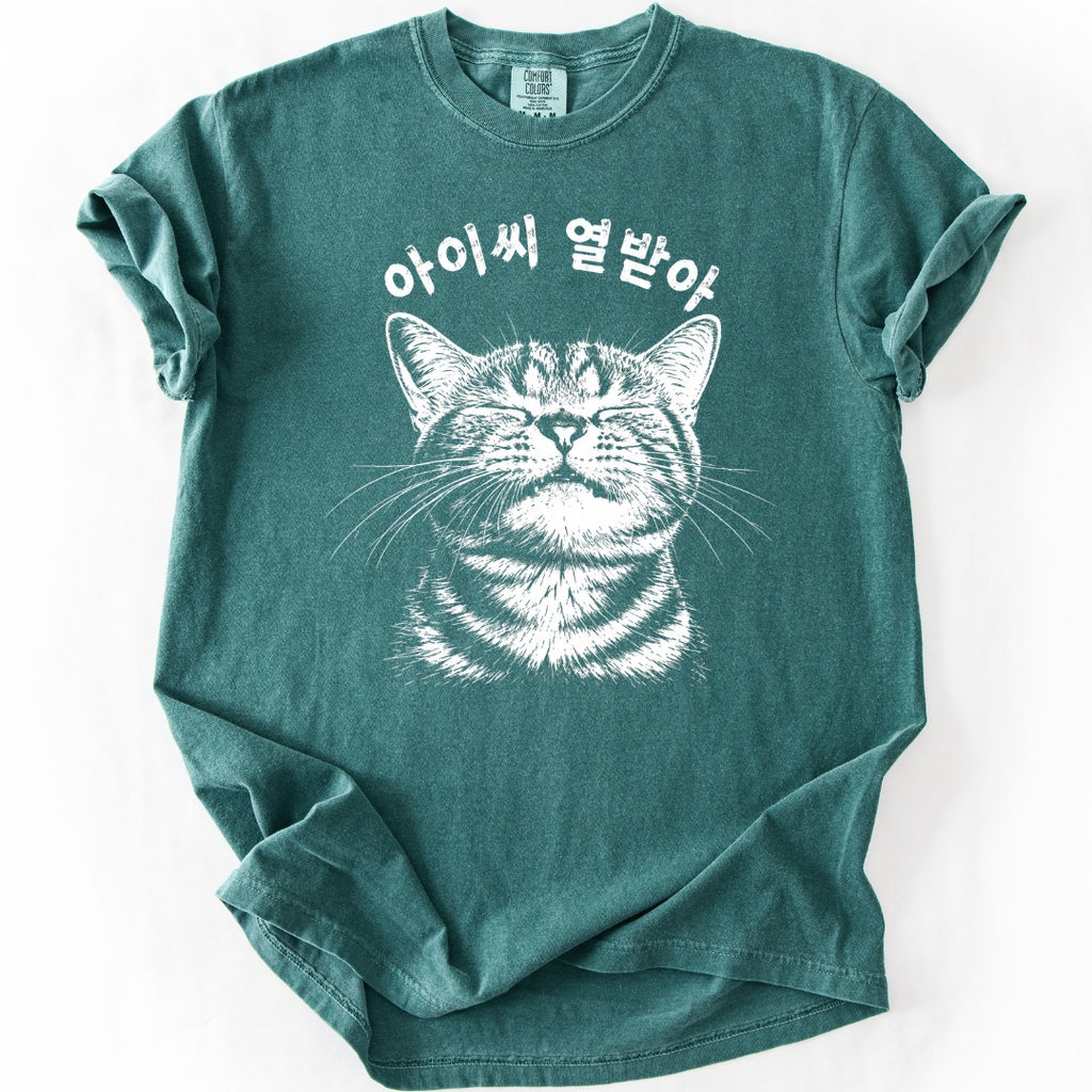 아이씨 열받아 Rage Consumes Me Korean Cat T-Shirt