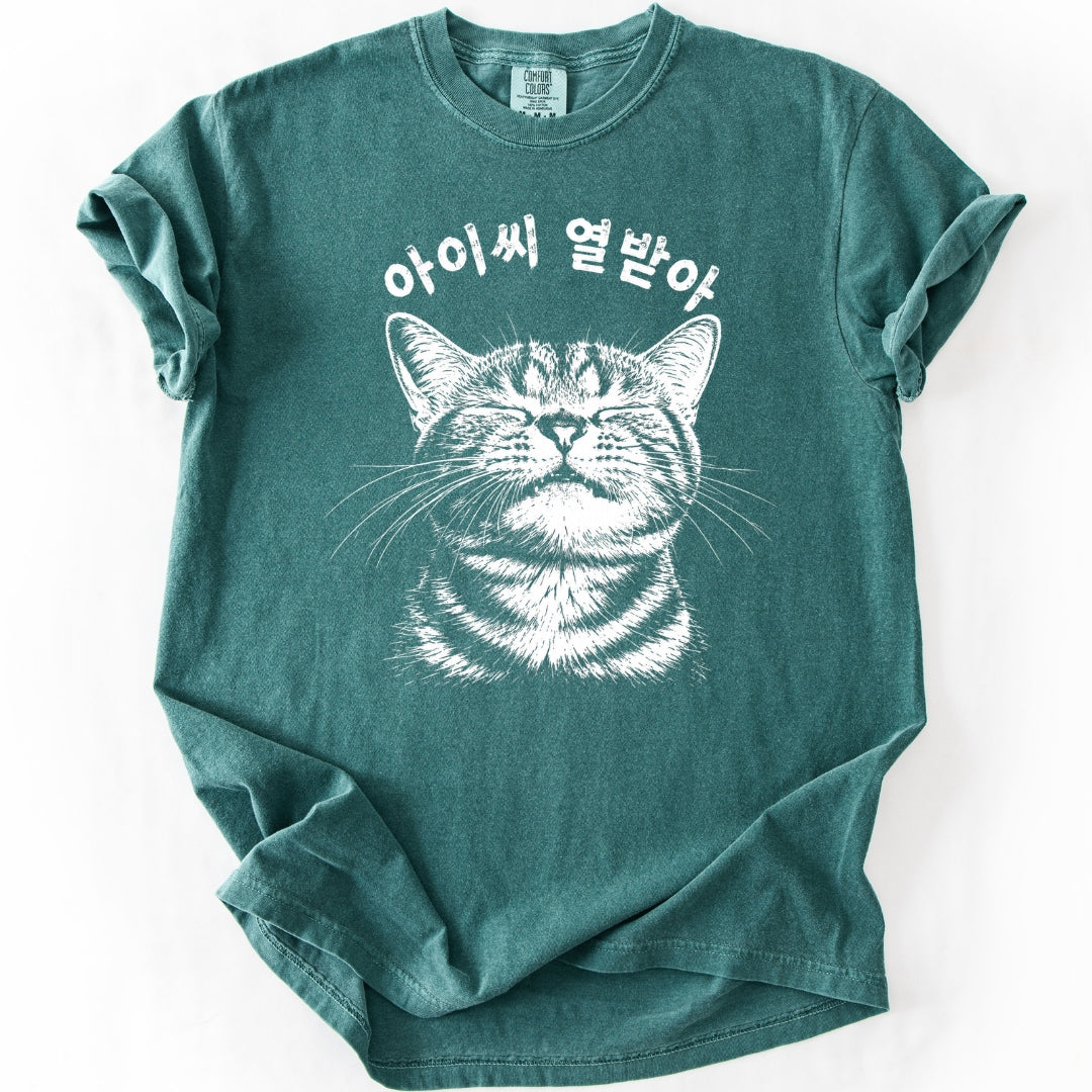 아이씨 열받아 Rage Consumes Me Korean Cat T-Shirt