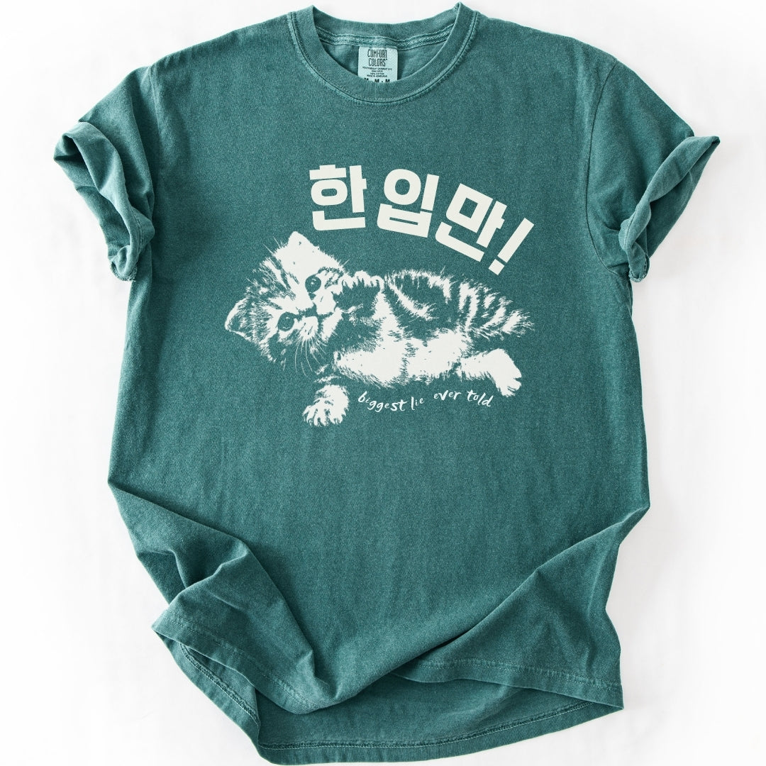 한입만 ("Just one bite") | Biggest Lie Ever Cat T-Shirt