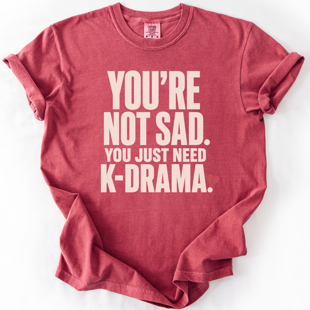 You Just Need K-Drama T-Shirt