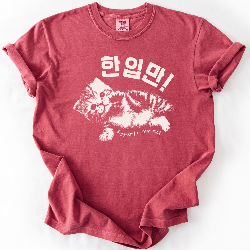 한입만 ("Just one bite") | Biggest Lie Ever Cat T-Shirt