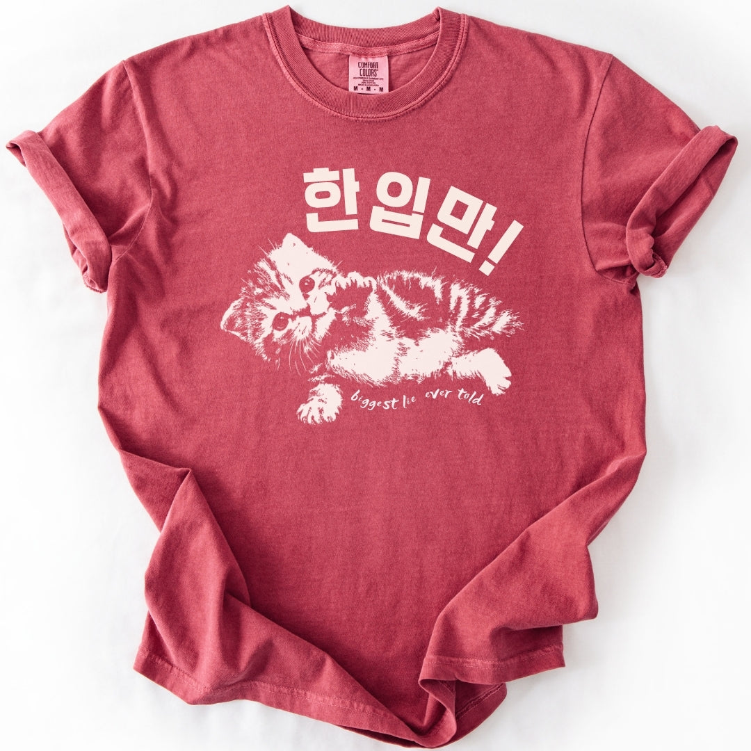 한입만 ("Just one bite") | Biggest Lie Ever Cat T-Shirt