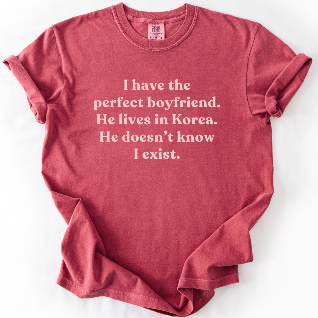 I Have The Perfect Boyfriend K-Drama T-Shirt