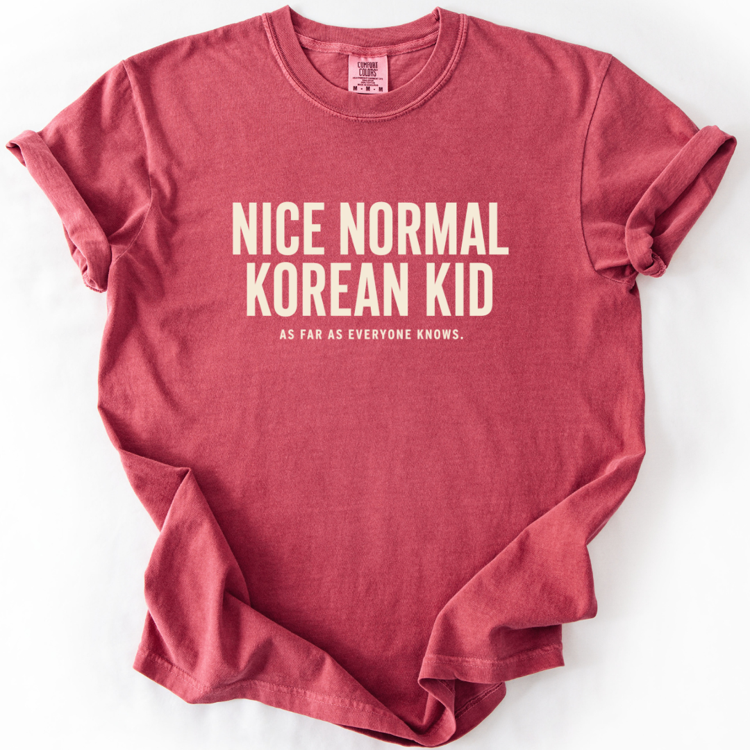 Nice Normal Korean Kid T-shirt