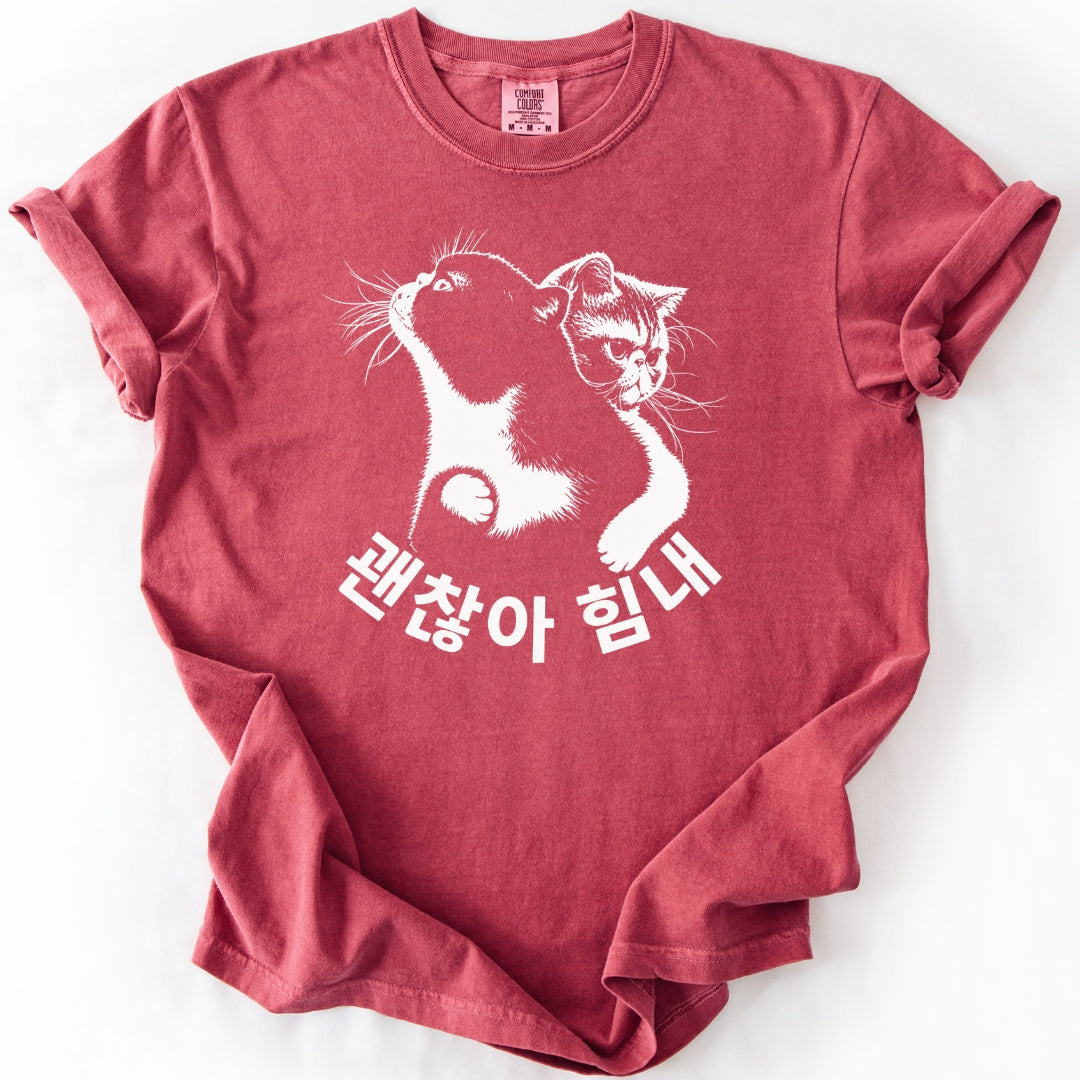 괜찮아 힘내 | Funny Korean Cat T-Shirt