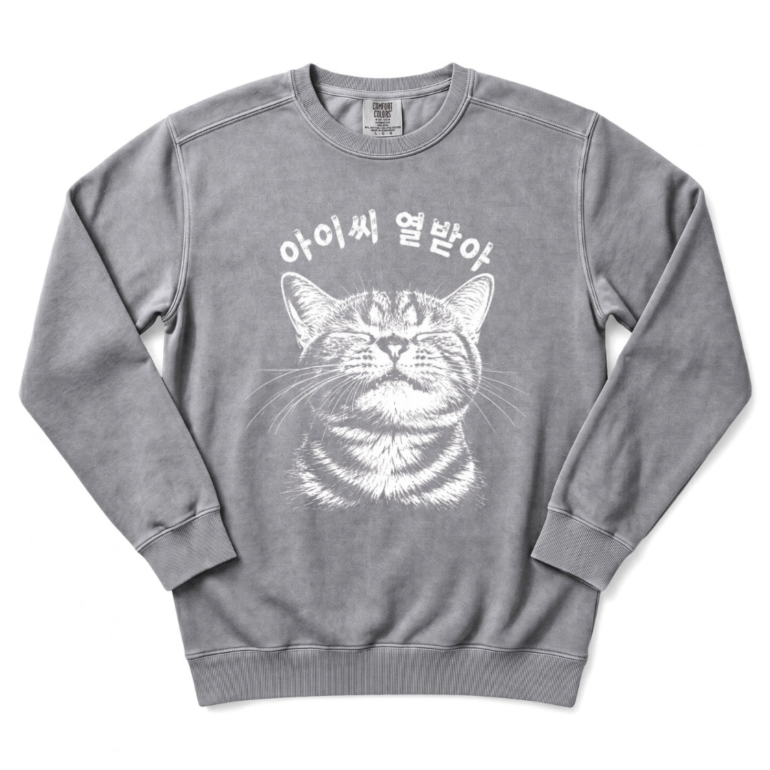 아이씨 열받아 Rage Consumes Me Korean Cat Sweatshirt