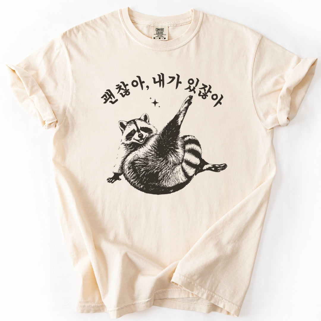 괜찮아 내가 있잖아 (Gwenchana, you have me) Funny Korean T-Shirt
