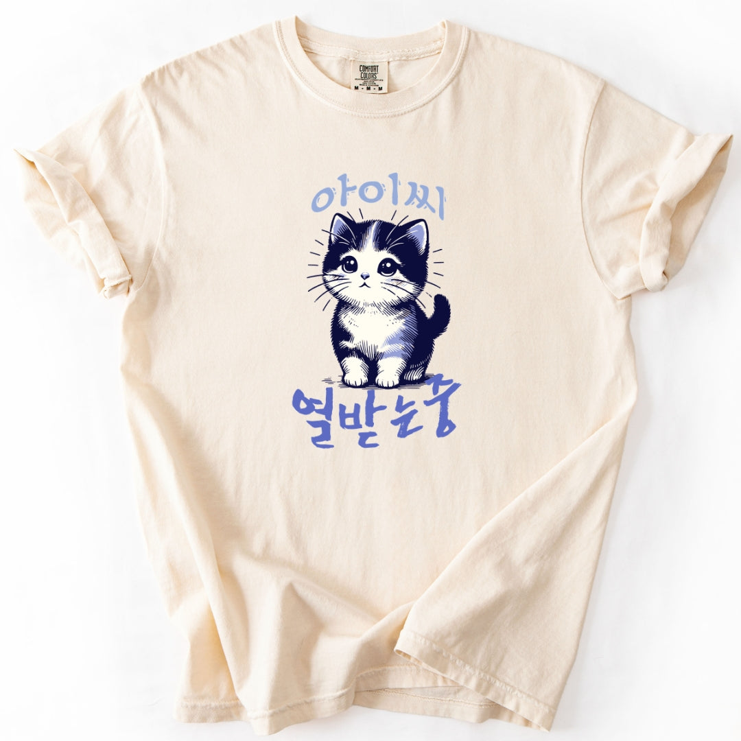 아이씨 (Aishh) Rage Consumes Me Funny Korean Cat T-Shirt