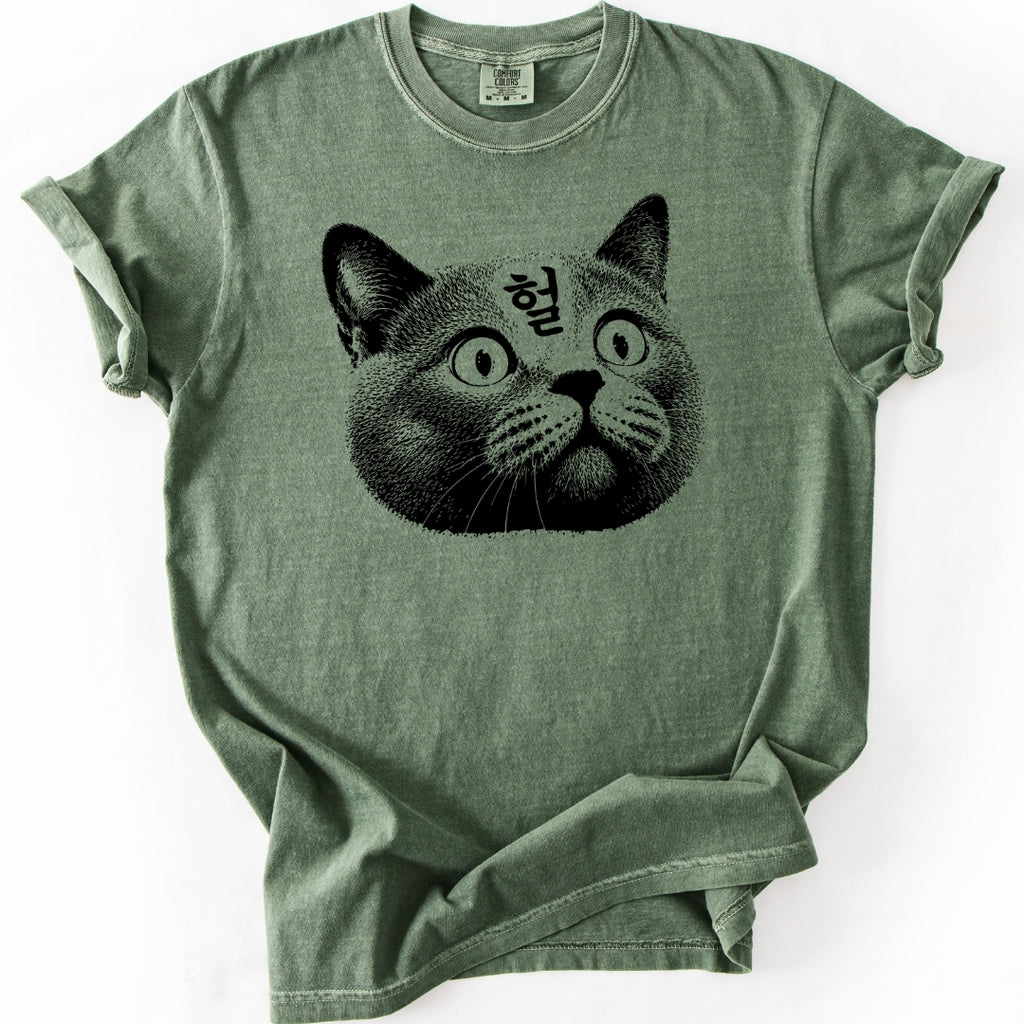 헐 (OMG) Korean Reaction Cat T-Shirt