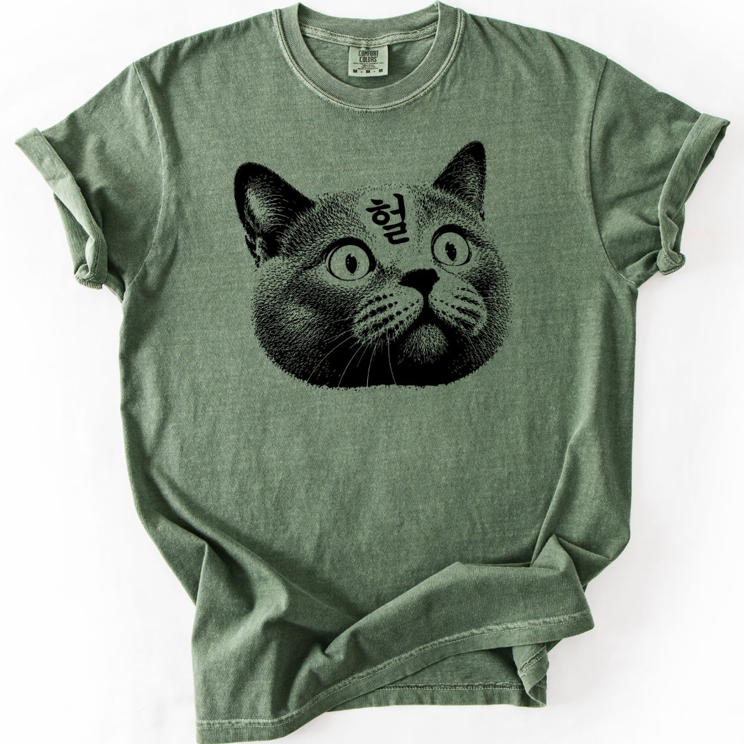 헐 (OMG) Korean Reaction Cat T-Shirt