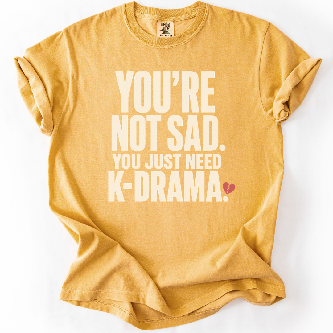 You Just Need K-Drama T-Shirt