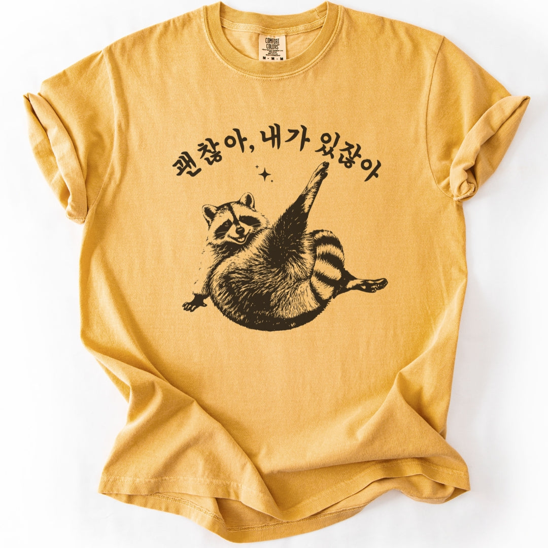 괜찮아 내가 있잖아 (Gwenchana, you have me) Funny Korean T-Shirt