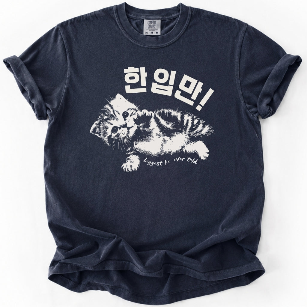 한입만 ("Just one bite") | Biggest Lie Ever Cat T-Shirt