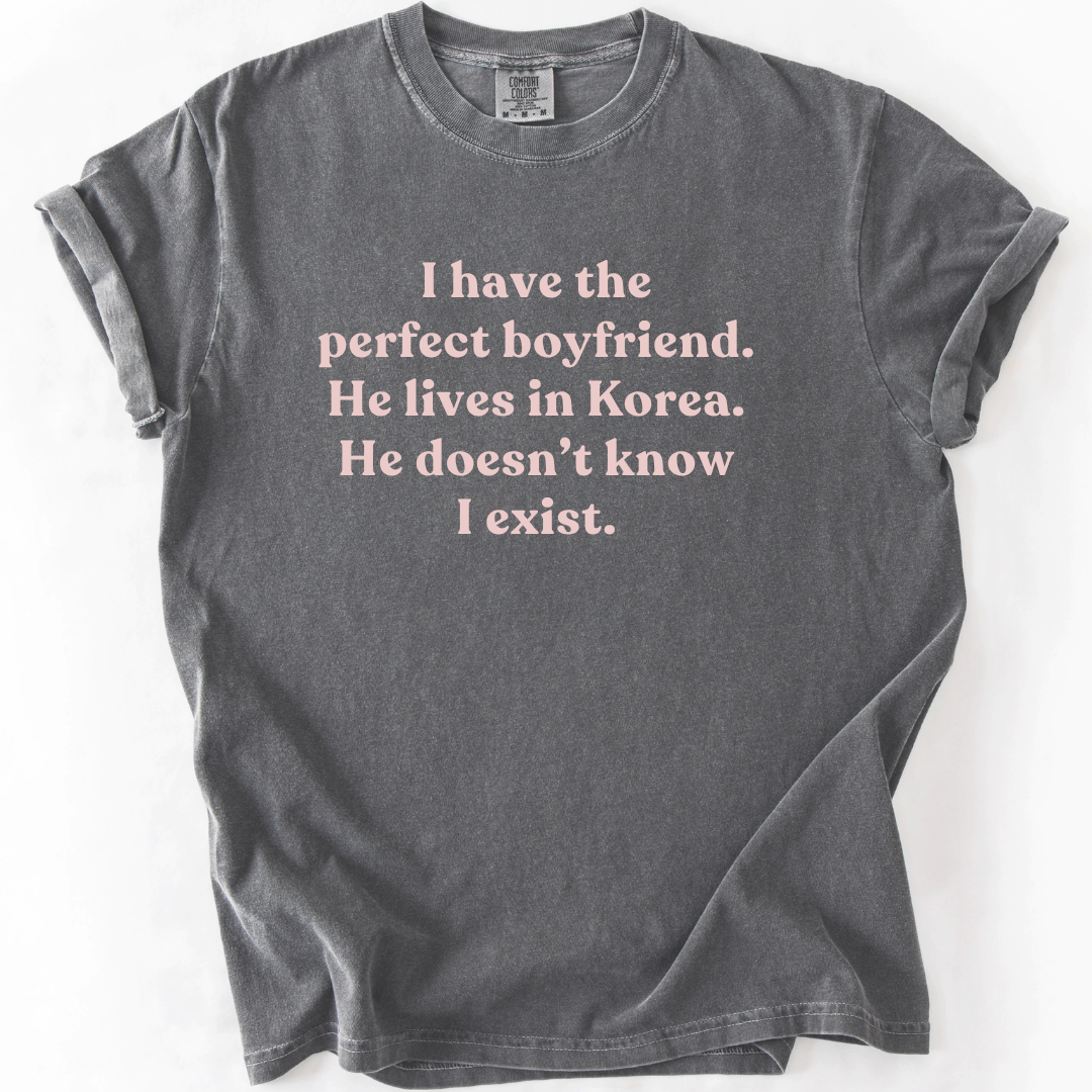 I Have The Perfect Boyfriend K-Drama T-Shirt