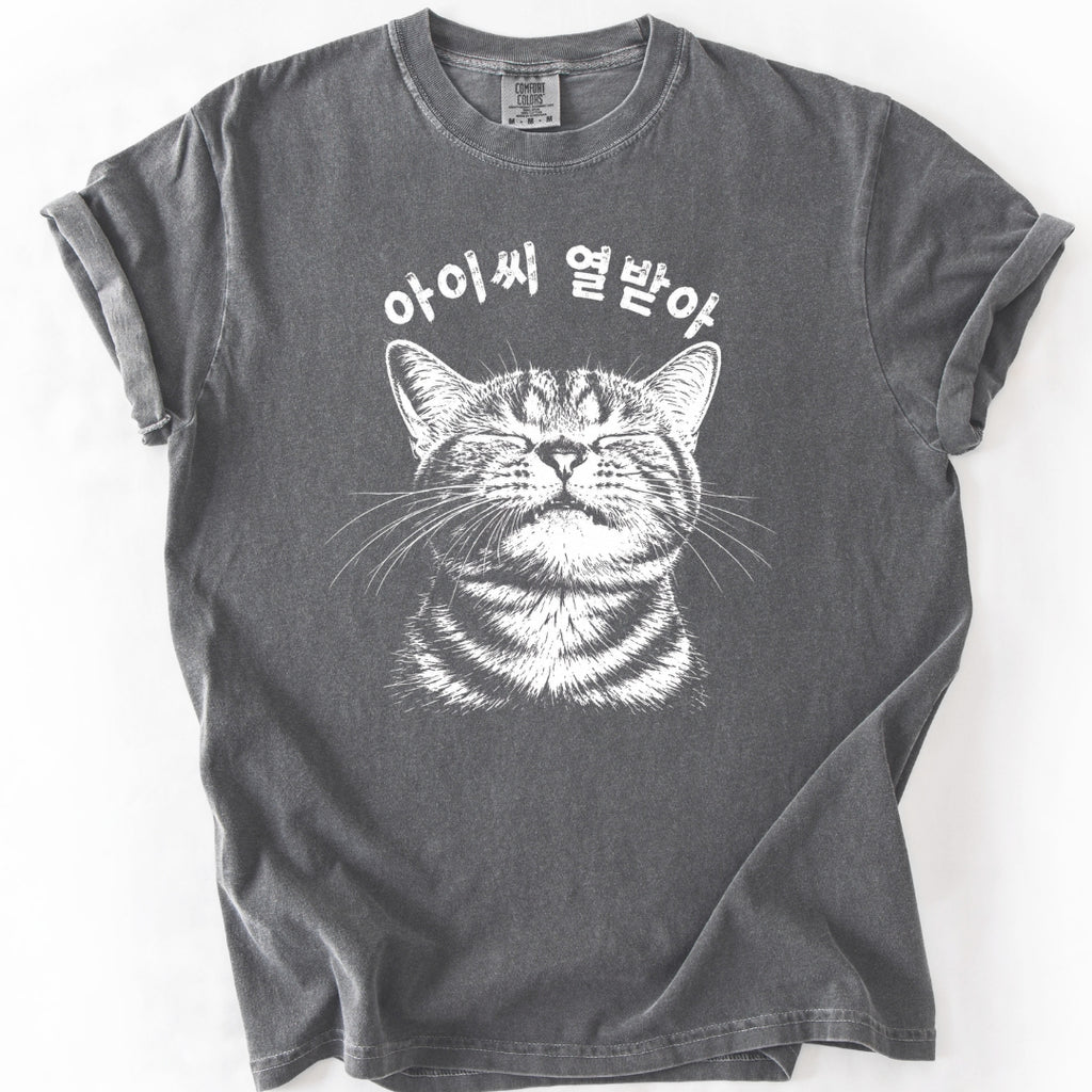 아이씨 열받아 Rage Consumes Me Korean Cat T-Shirt