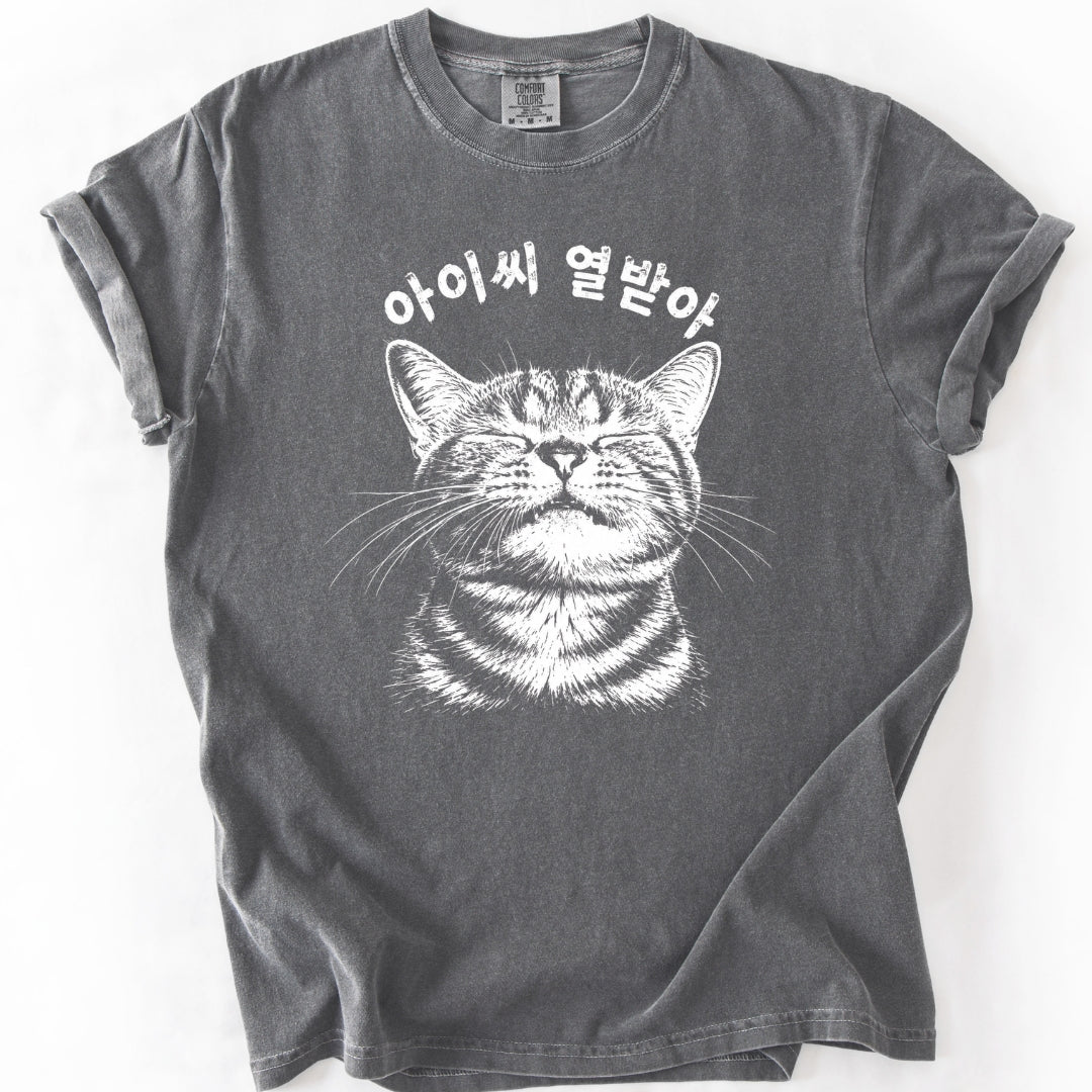 아이씨 열받아 Rage Consumes Me Korean Cat T-Shirt