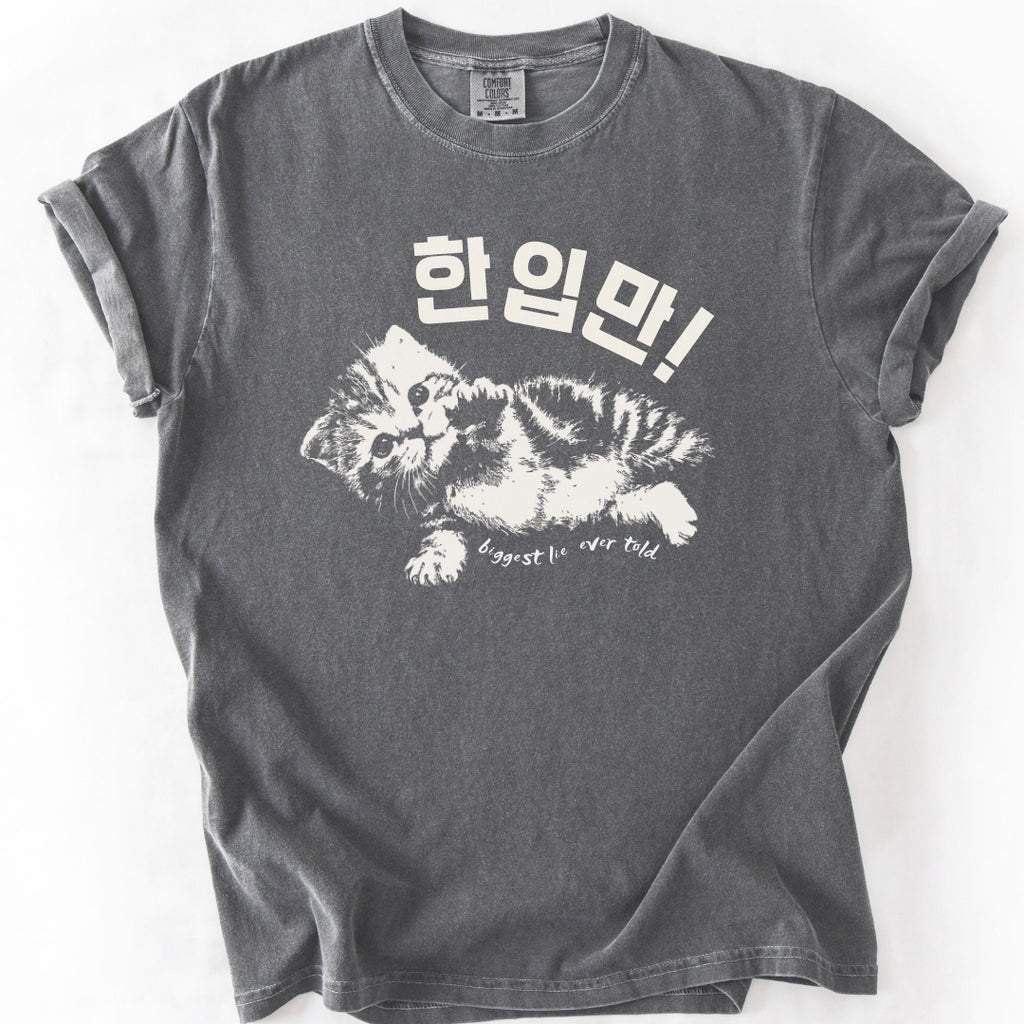 한입만 ("Just one bite") | Biggest Lie Ever Cat T-Shirt