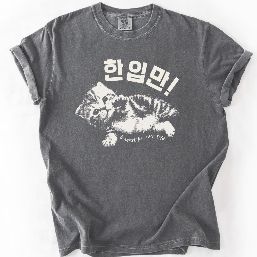 한입만 ("Just one bite") | Biggest Lie Ever Cat T-Shirt