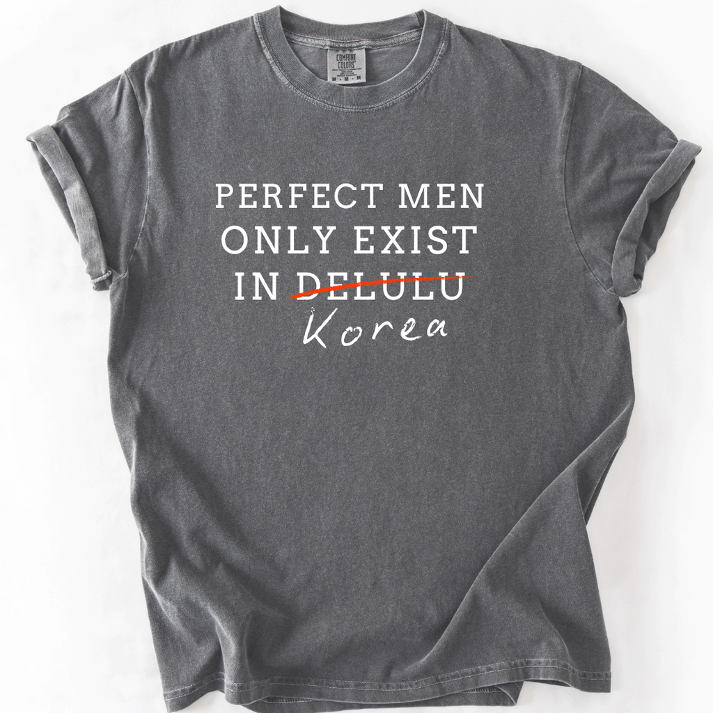 Perfect Men Only Exist in Korea - Funny K-Drama Fan T-Shirt
