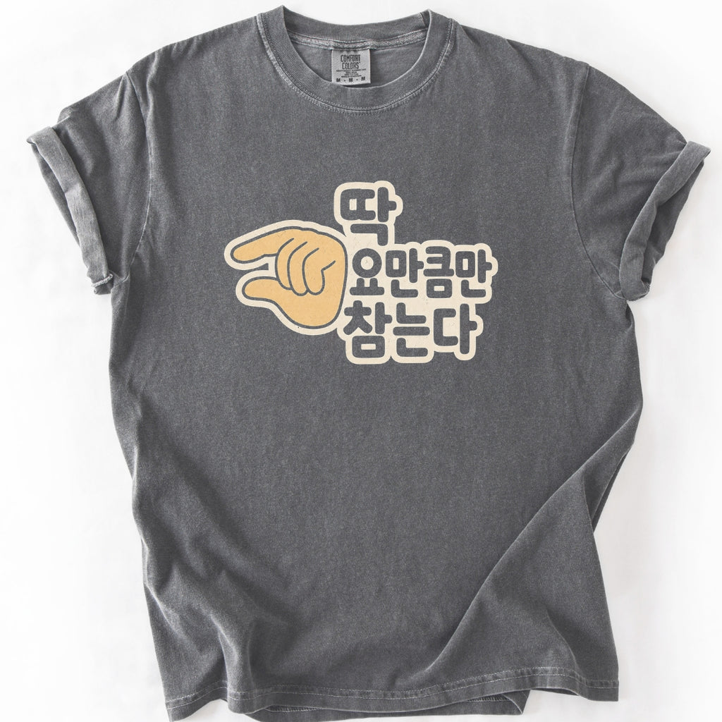 I Am This Close to Losing It | Funny Korean T-Shirt