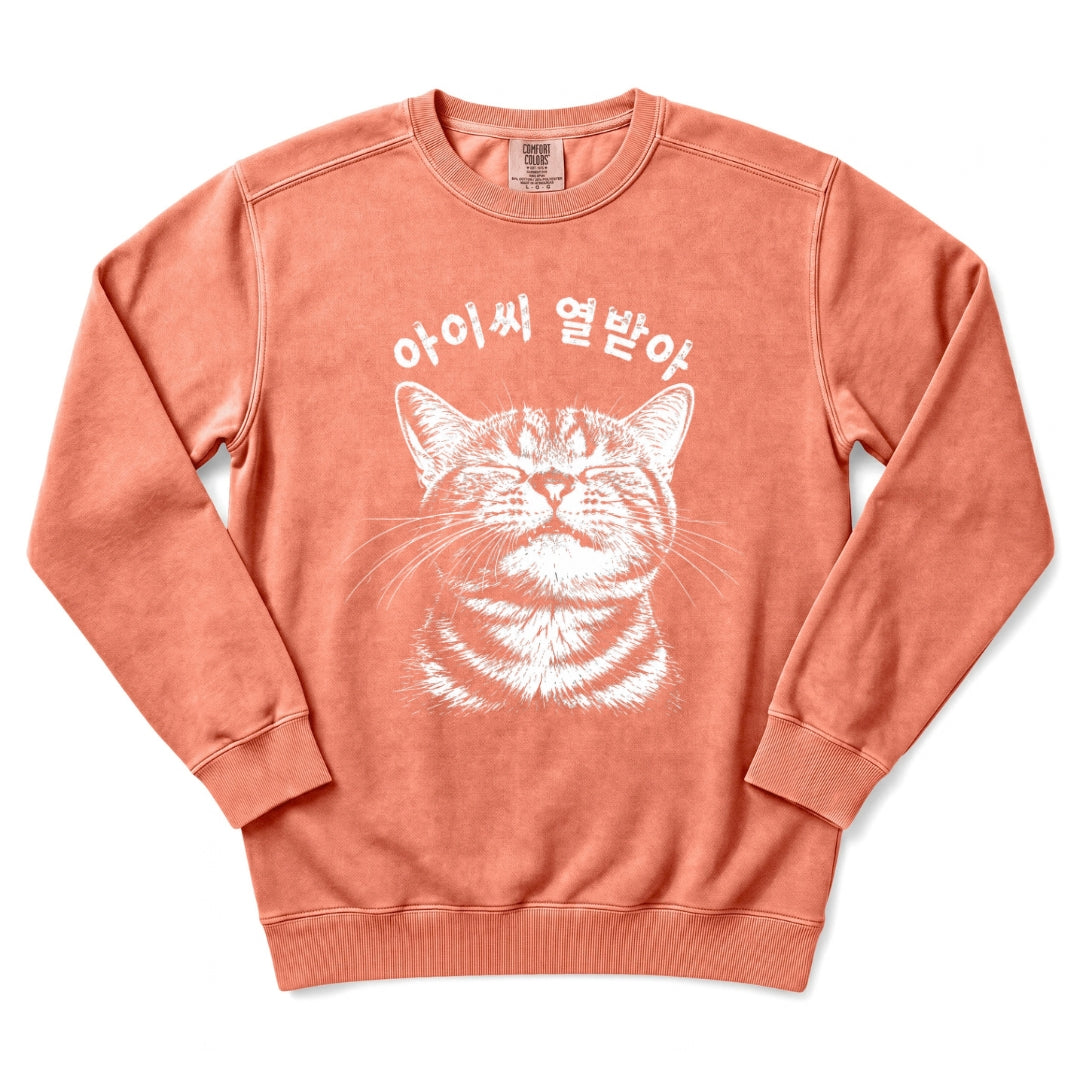 아이씨 열받아 Rage Consumes Me Korean Cat Sweatshirt
