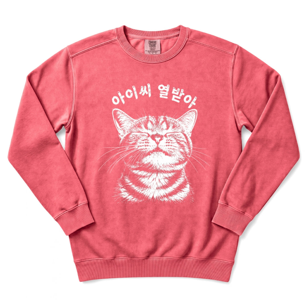 아이씨 열받아 Rage Consumes Me Korean Cat Sweatshirt