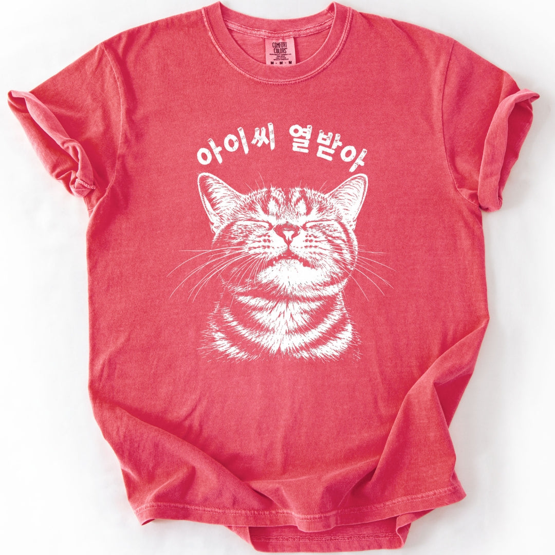 아이씨 열받아 Rage Consumes Me Korean Cat T-Shirt