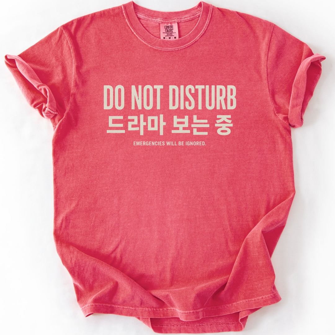 Do Not Disturb 드라마 보는 중 | K-Drama T-Shirt